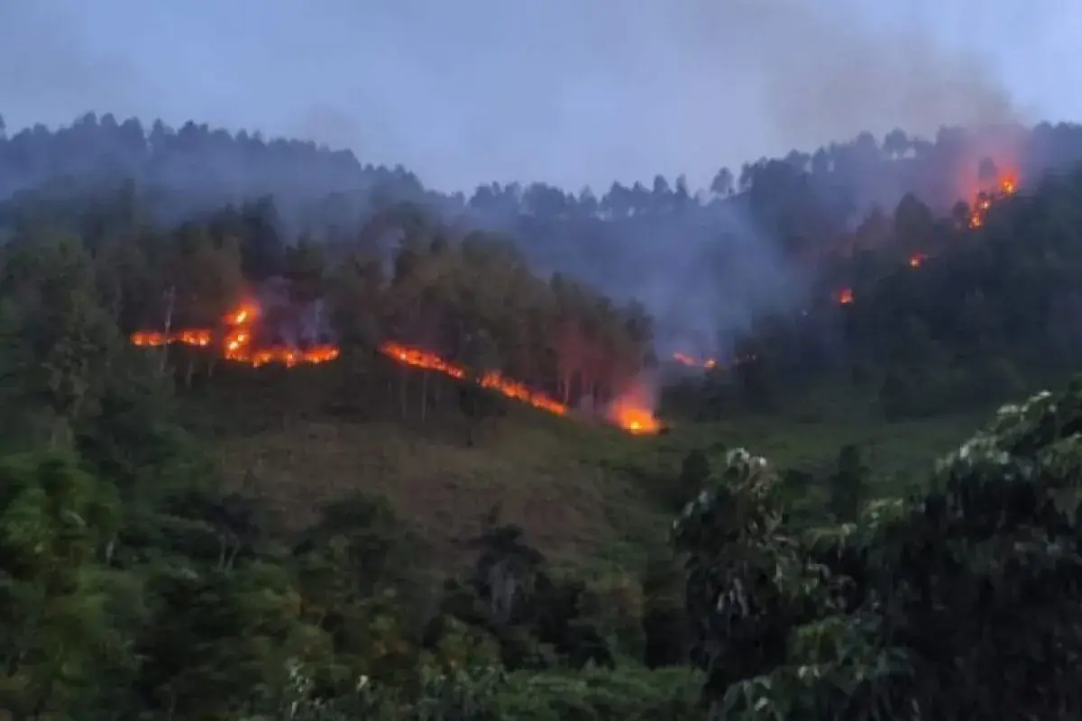 Polres Humbahas Selidiki Kebakaran Lahan yang Tewaskan Seorang Petani