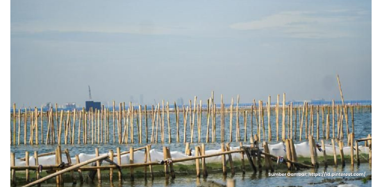 Proyek Pagar Laut Tak Jelas, Nelayan Tangerang Kesulitan Mengakses Laut