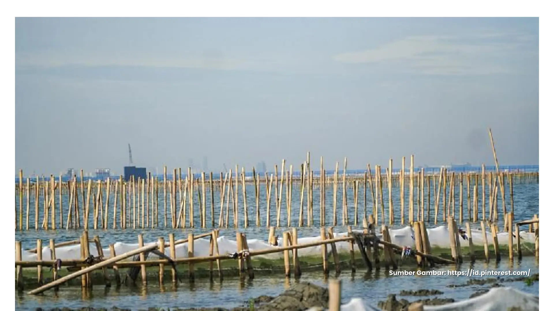 Proyek Pagar Laut Tak Jelas, Nelayan Tangerang Kesulitan Mengakses Laut
