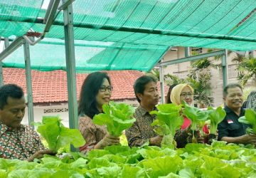 Phoenix Hotel Sulap Atap Jadi Kebun: Inovasi Urban Farming di Tengah Kota Yogyakarta