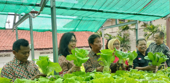 Phoenix Hotel Sulap Atap Jadi Kebun: Inovasi Urban Farming di Tengah Kota Yogyakarta