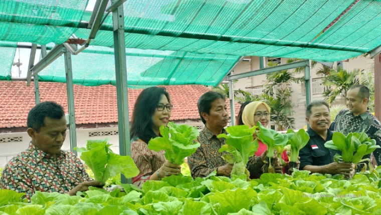 Phoenix Hotel Sulap Atap Jadi Kebun: Inovasi Urban Farming di Tengah Kota Yogyakarta