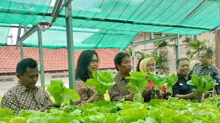 Phoenix Hotel Sulap Atap Jadi Kebun: Inovasi Urban Farming di Tengah Kota Yogyakarta