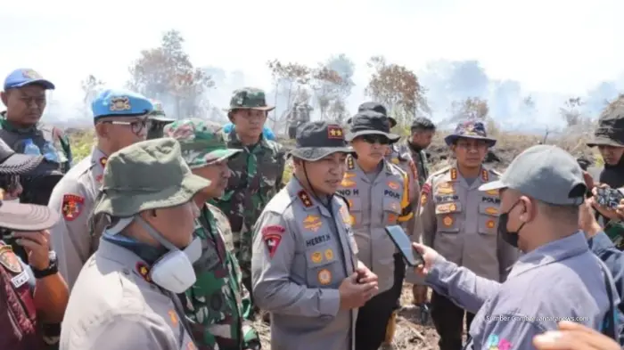 Karhutla Meluas 100 Hektare di Rokan Hilir, Polda Riau Selidiki Pembakar Lahan