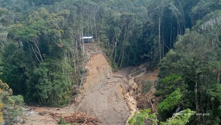 Banjir Bandang Pegunungan Arfak: 15 Korban Ditemukan, Pencarian Diperluas di Medan Ekstrem