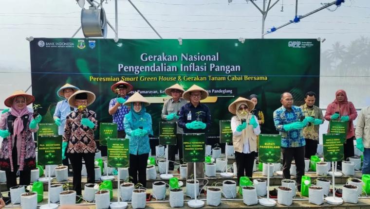 Gerakan Nasional Pengendali Inflasi Pangan, BI Perwakilan Banten Resmikan Smart Green House