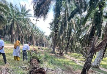 PT. Haleyora Power Diduga Langgar UU No. 30 Tahun 2009