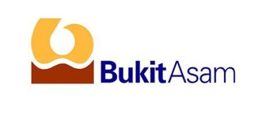 RUPST PT Bukit Asam, Bambang Ismawan Ditunjuk Jadi Komisaris Utama