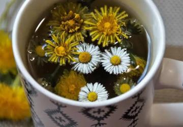 5 Jenis Teh Alami Ini Diklaim Efektif Bantu Bersihkan Ginjal