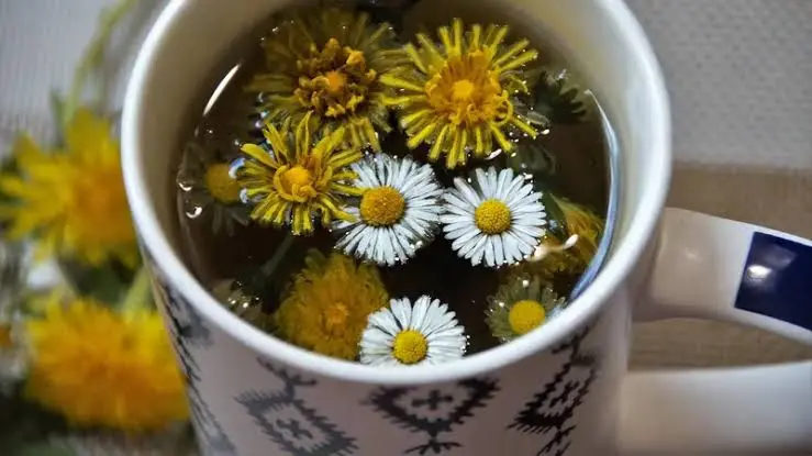 5 Jenis Teh Alami Ini Diklaim Efektif Bantu Bersihkan Ginjal