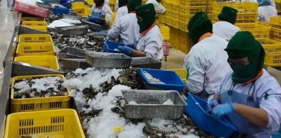 Ekspor Udang Windu Kaltim Capai 769,9 Ton pada Januari-Mei 2026