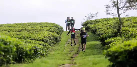 Running Summit 2026 Dorong Pangalengan Jadi “Kampung Pelari Indonesia”