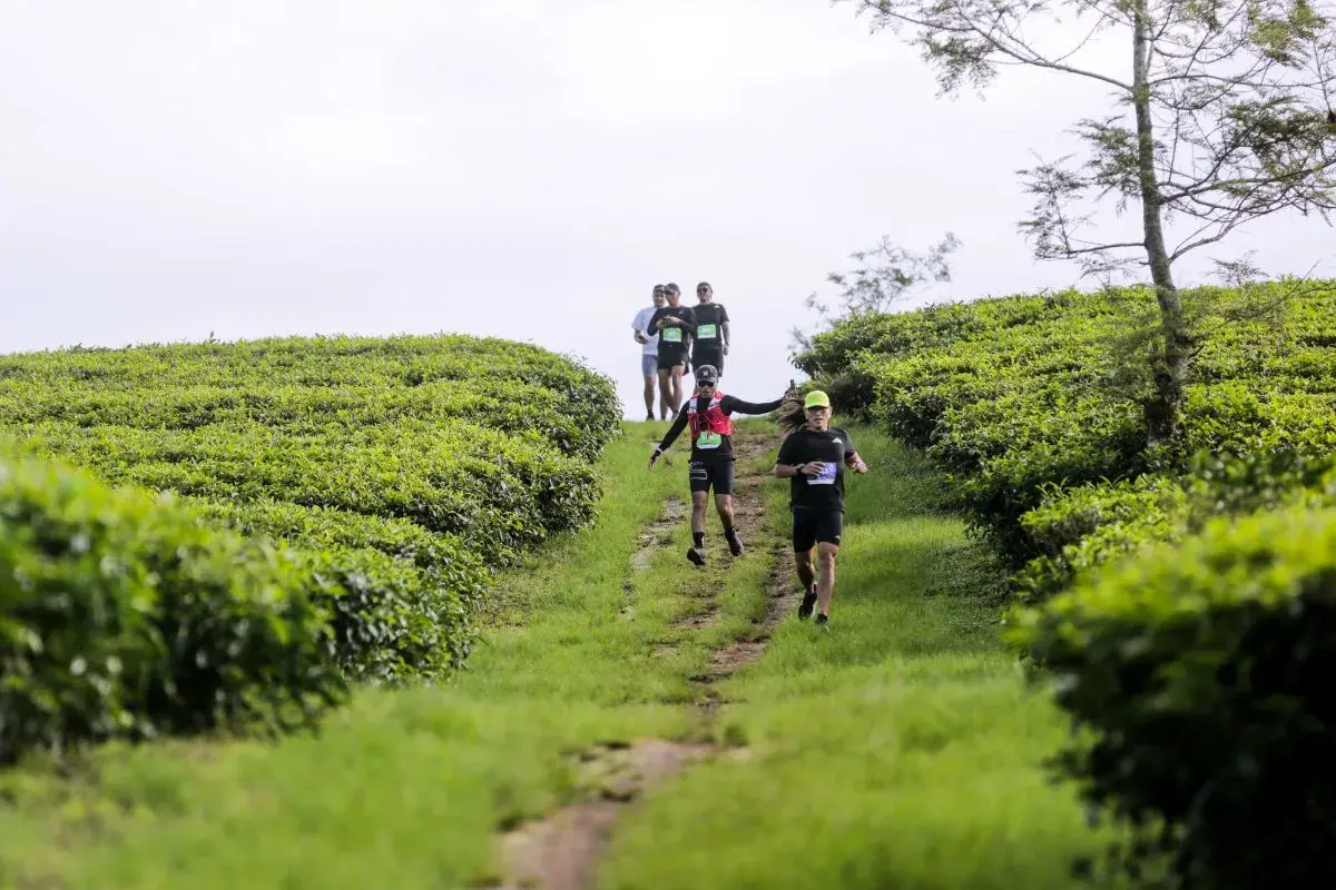 Running Summit 2026 Dorong Pangalengan Jadi “Kampung Pelari Indonesia”