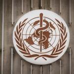 Kemenkes Tingkatkan Kewaspadaan Usai WHO Tetapkan Ebola di Kongo sebagai Darurat Kesehatan Global
