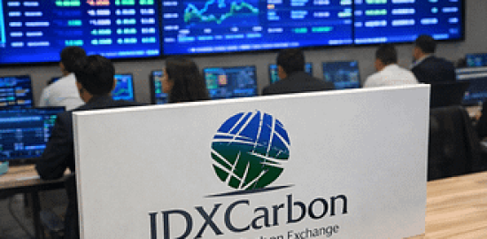 Pemerintah Perjelas Syarat Perdagangan Karbon Hutan, Pelaku Wajib Penuhi Standar Ketat