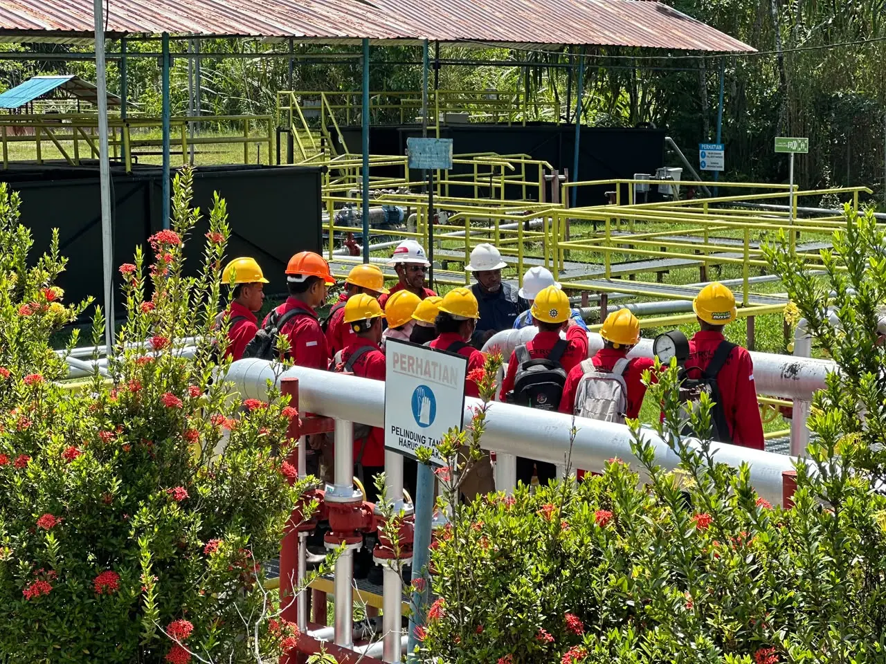 Jadi Destinasi Favorit untuk Menimba Ilmu, Pertamina EP Papua Field Terima Kuliah Lapangan Mahasiswa UNIPA