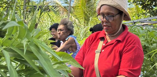 Sinergi SKK Migas-Pertamina EP Papua, Dukung Ketahanan Pangan Di Kampung Maladuk