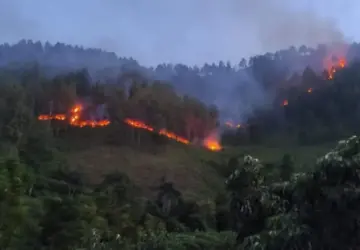 Polres Humbahas Selidiki Kebakaran Lahan yang Tewaskan Seorang Petani