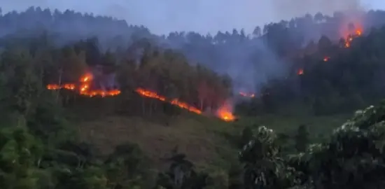 Polres Humbahas Selidiki Kebakaran Lahan yang Tewaskan Seorang Petani