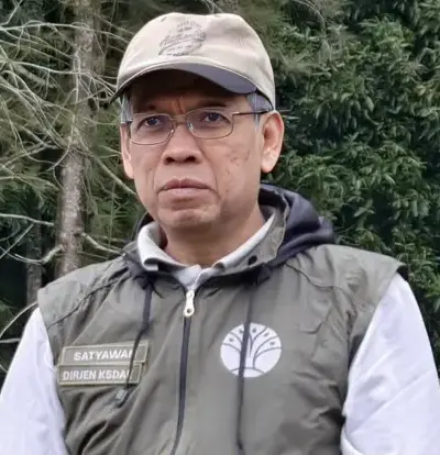 Kementerian Kehutanan Tegaskan Komitmen Perlindungan Harimau Sumatera
