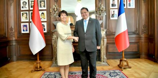 Indonesia dan Prancis Perkuat Kolaborasi Nikel untuk Percepatan Transisi Energi Kendaraan Listrik