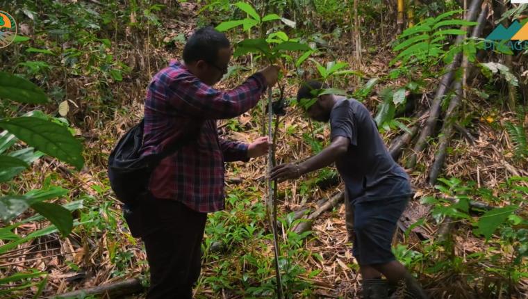 PT Gag Nikel Buat Inovasi Teknologi Modern untuk Konservasi Lingkungan dan Pemberdayaan Masyarakat di Pulau Gag