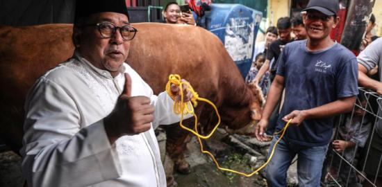 Rano Serahkan Sapi Kurban Bagi Warga Tangki