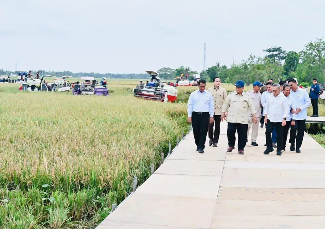 Hanya Butuh Setahun, Presiden Prabowo Deklarasikan Indonesia Resmi Swasembada Pangan
