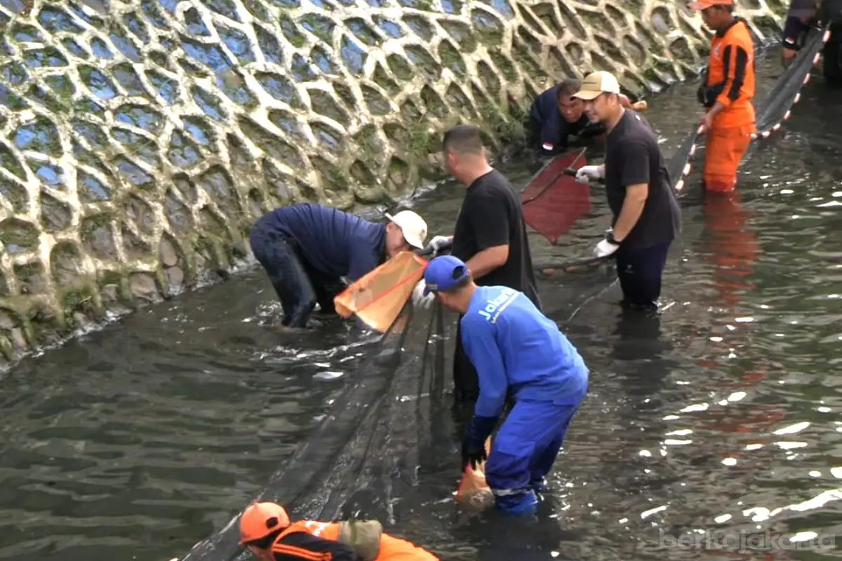 Pemprov DKI Intensifkan Pengerukan Sungai dan Pengendalian Ikan Sapu-Sapu