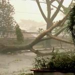 DPRD Kota Bandung Desak Pemeliharaan Lingkungan Lebih Serius