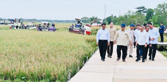 Hanya Butuh Setahun, Presiden Prabowo Deklarasikan Indonesia Berhasil Capai Swasembada Pangan