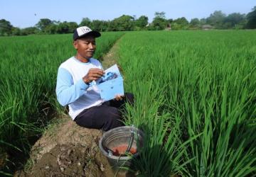 Dari Pangan hingga Investasi, Presiden Prabowo Sampaikan Delapan Agenda Prioritas RAPBN 2026