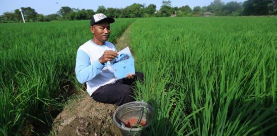 Dari Pangan hingga Investasi, Presiden Prabowo Sampaikan Delapan Agenda Prioritas RAPBN 2026