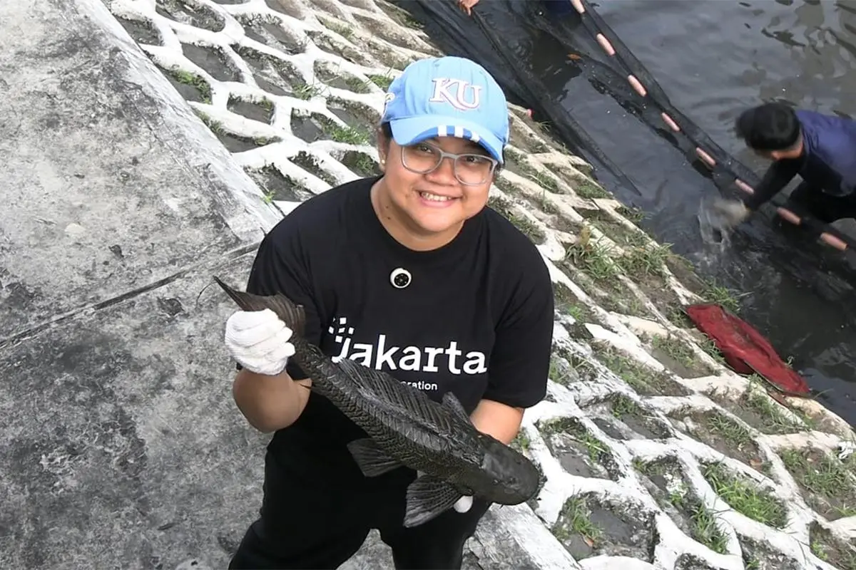 Pemprov DKI Gelar Rapat Khusus Basmi Ikan Sapu-Sapu