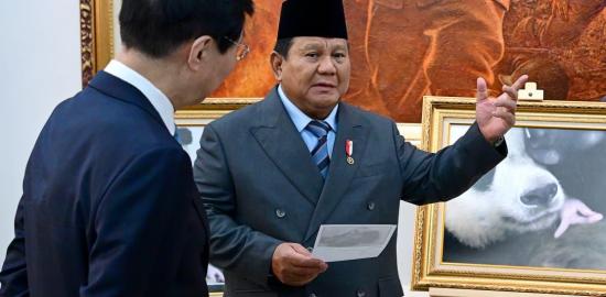 Presiden Prabowo Beri Nama Bayi Panda Satrio Wiratama Simbol Keberanian dan Kemuliaan