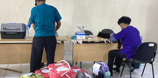 100 Kucing Disterilisasi di Balai Penyuluhan Pertanian Kembangan