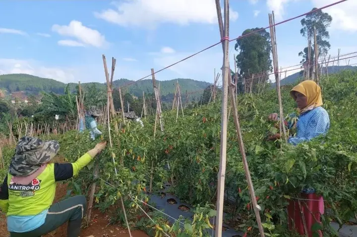 Di Hadapan Ribuan Kades Sulsel, Mentan Amran Bahas Kunci Sukses dan Hilirisasi Pertanian