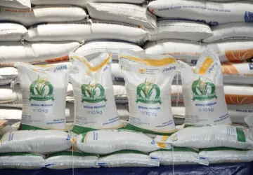 Wamentan Sudaryono Ungkap Fakta Penurunan Harga Pupuk 20 Persen, Minta Publik Waspada Hoaks