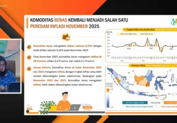 Beras Medium Aman dan Surplus, Impor Dibatasi untuk Kebutuhan Khusus