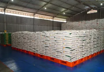 Pengamat: Indonesia Capai Swasembada Beras, Stok Dunia Tertinggi Sepanjang Sejarah