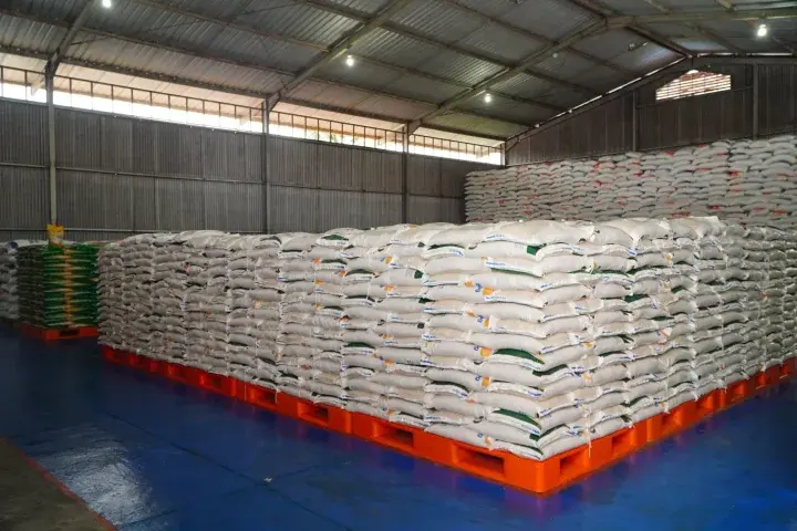 Pengamat: Indonesia Capai Swasembada Beras, Stok Dunia Tertinggi Sepanjang Sejarah