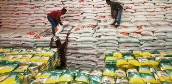 Kadin Nilai Langkah Mentan Amran Tertibkan Beras Impor Sesuai Arahan Presiden