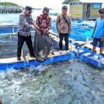 Penguatan Monitoring Budi Daya Perikanan di Pulau Tidung