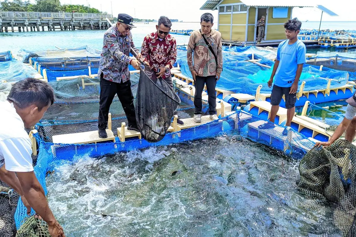 Penguatan Monitoring Budi Daya Perikanan di Pulau Tidung