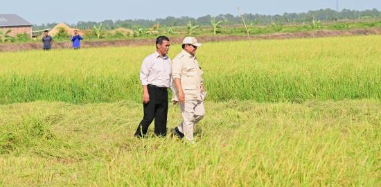 Tegaskan Kesiapan Indonesia Hadapi El Nino, Mentan: Stok Beras Tertinggi Sepanjang Sejarah