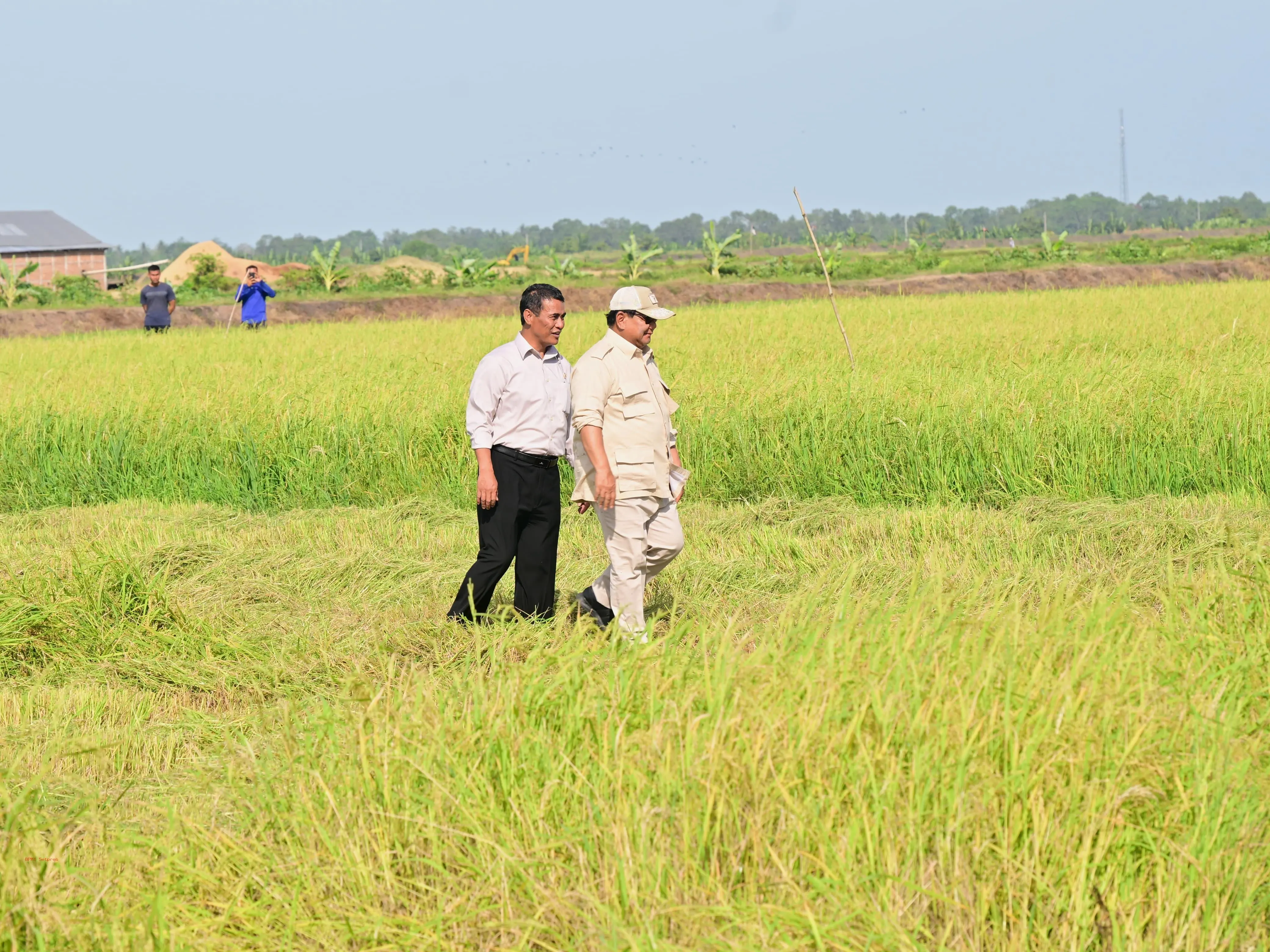 Tegaskan Kesiapan Indonesia Hadapi El Nino, Mentan: Stok Beras Tertinggi Sepanjang Sejarah