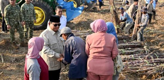 Presiden Prabowo Saksikan Panen Raya Tebu di Malang, Petani Sampaikan Apresiasi dan Harapan