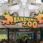 Tak Sekadar Bisnis, Pengelola Bandung Zoo Harus Penuhi Syarat Konservasi Satwa