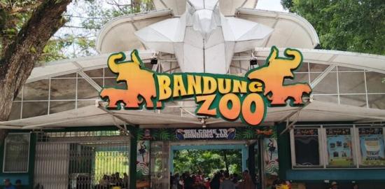 Tak Sekadar Bisnis, Pengelola Bandung Zoo Harus Penuhi Syarat Konservasi Satwa