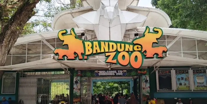 Tak Sekadar Bisnis, Pengelola Bandung Zoo Harus Penuhi Syarat Konservasi Satwa